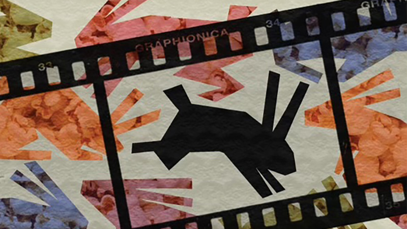 black rabbit film festival flyer