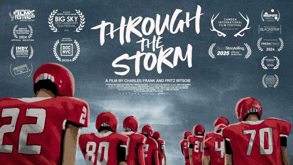 Through the storm banner image